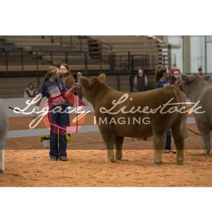 Meet your Posher, Tristan